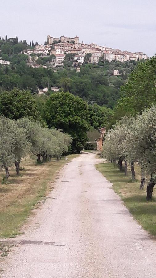 La Rose Des Vents Panzió Montauroux Kültér fotó