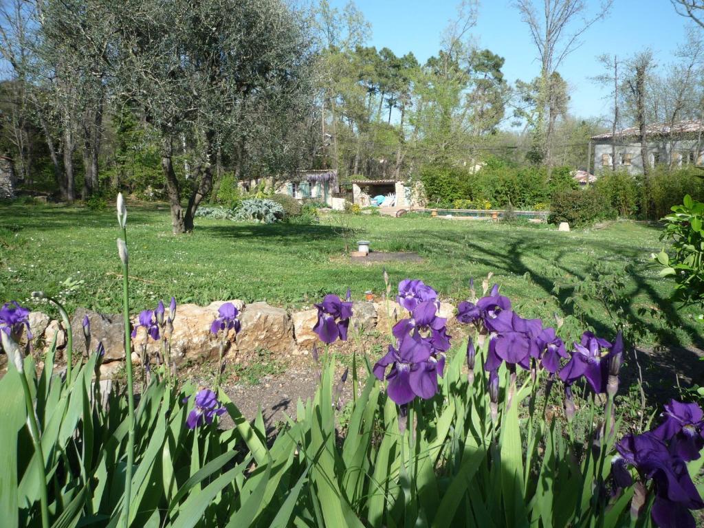 La Rose Des Vents Panzió Montauroux Kültér fotó